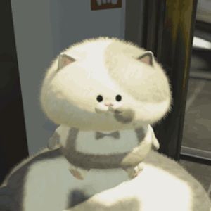 Meet your Posher, Camila